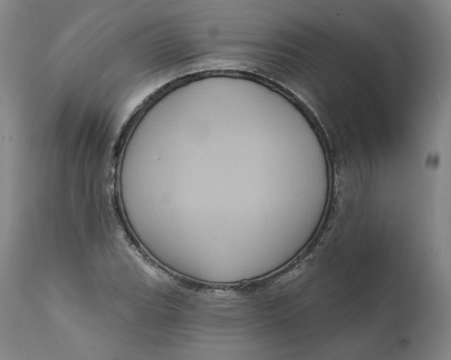 X0000111641119200908071335