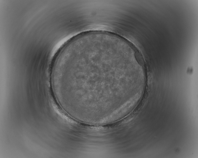 X0000111641120200908071335