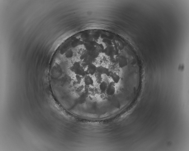 X0000111641121200908071336