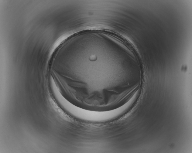 X0000111641122200908071336