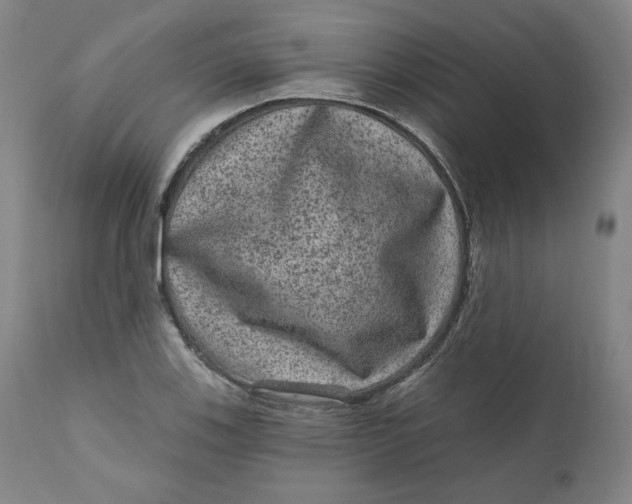 X0000111641123200908071336