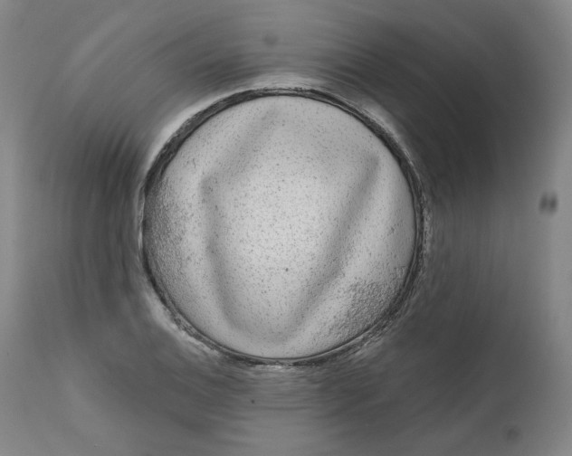 X0000111641124200908071336