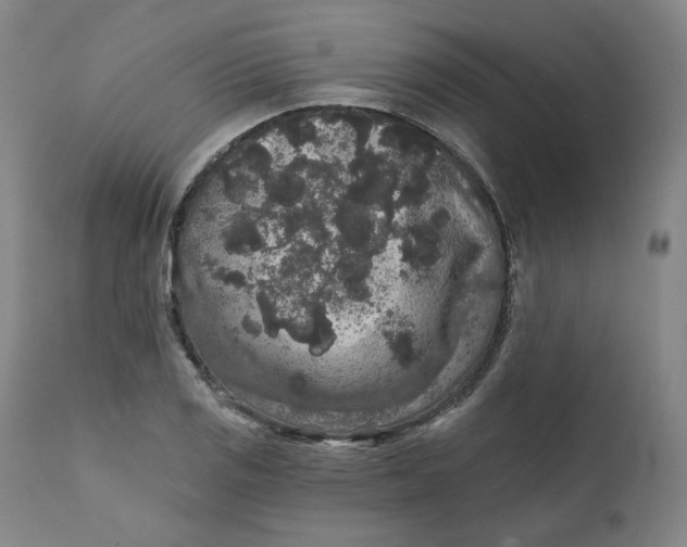 X0000111641125200908071336