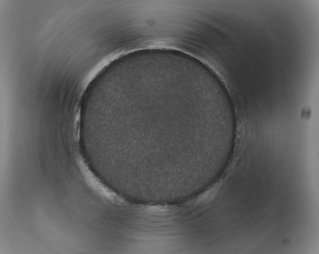 X0000111641126200908071336