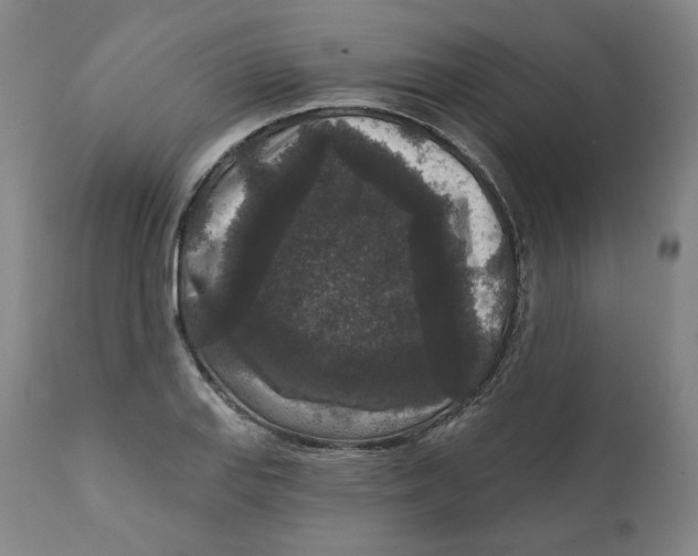 X0000111641127200908071336