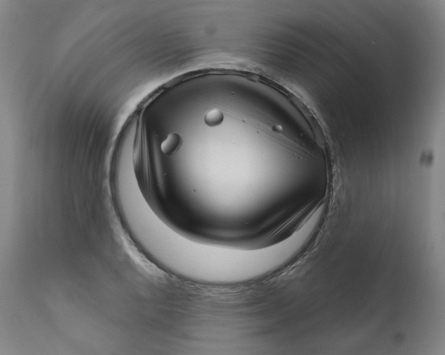 X0000111641128200908071336