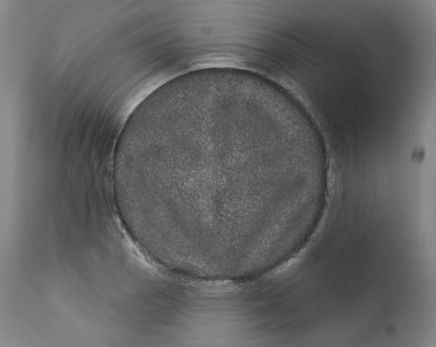 X0000111641129200908071336