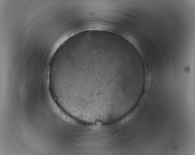 X0000111641130200908071336