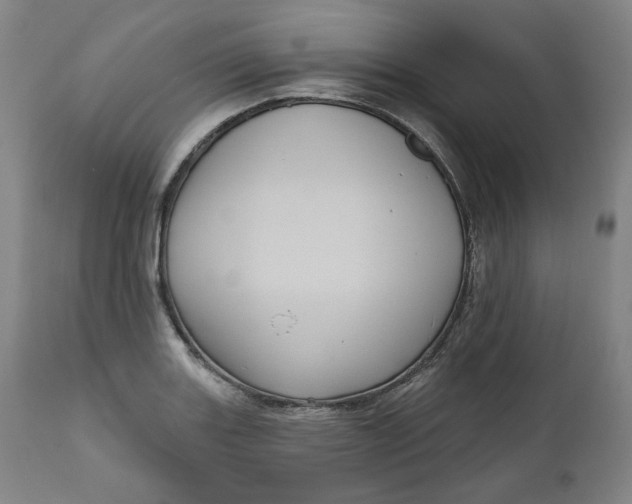 X0000111641131200908071336