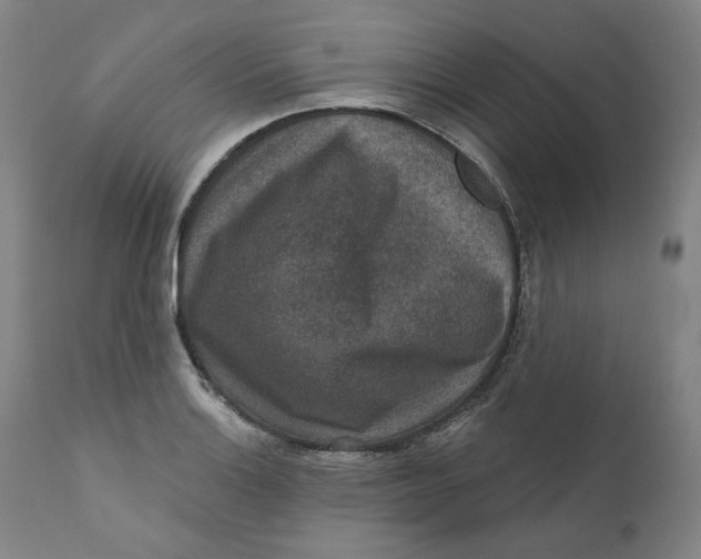 X0000111641132200908071336