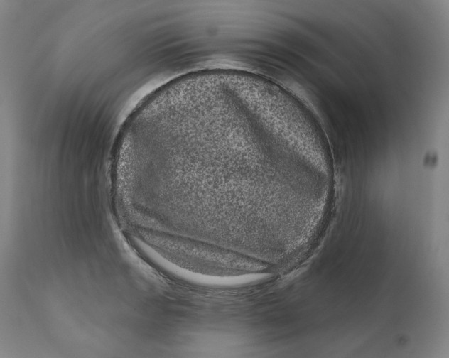 X0000111641133200908071336