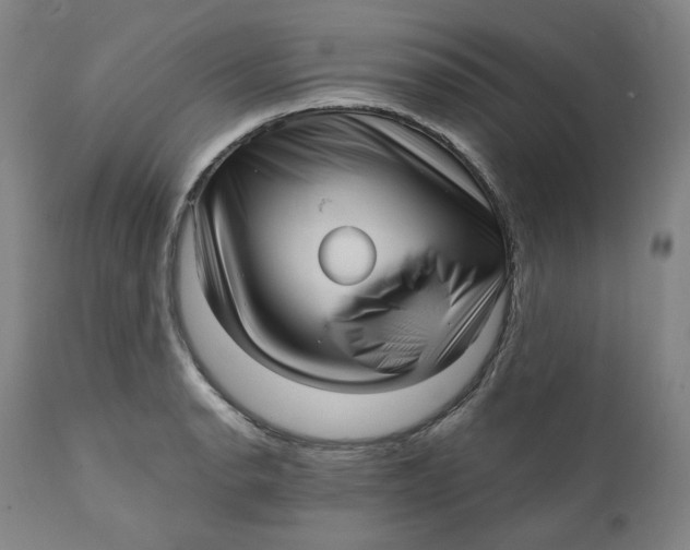 X0000111641134200908071336