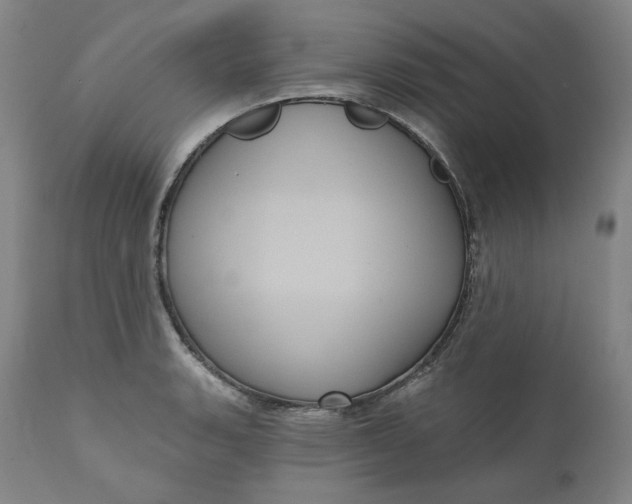 X0000111641135200908071336