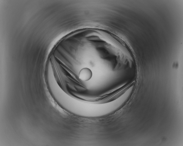 X0000111641136200908071336