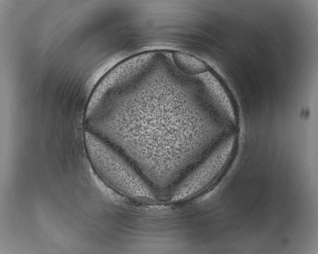 X0000111641137200908071336