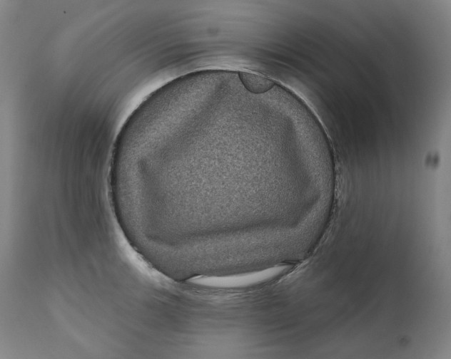 X0000111641139200908071336