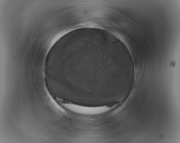 X0000111641141200908071336