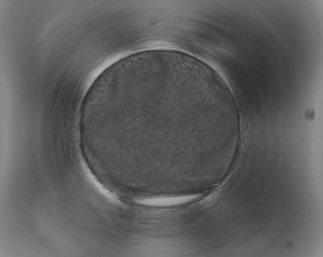 X0000111641142200908071336