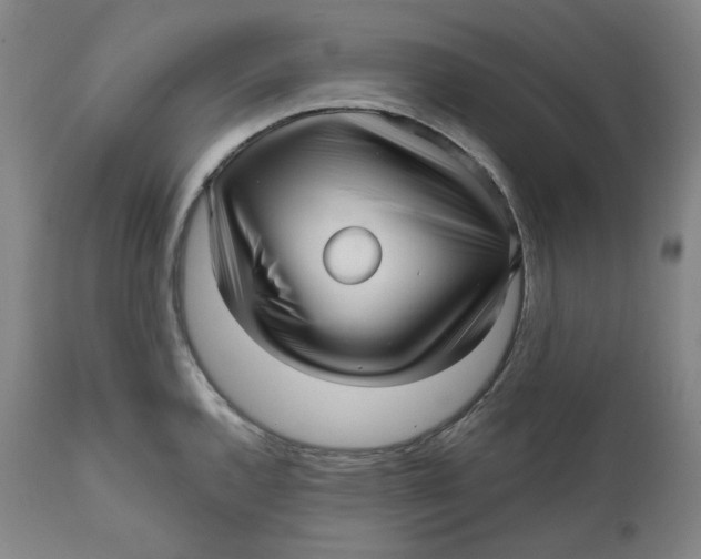 X0000111641144200908071336