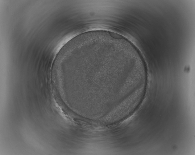 X0000111641145200908071336