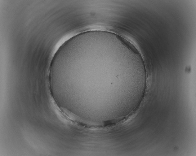 X0000111641146200908071336