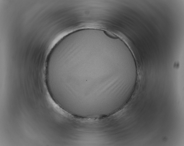 X0000111641147200908071336