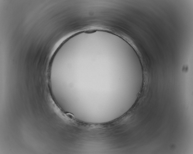 X0000111641148200908071336