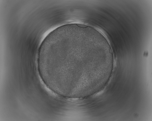 X0000111641149200908071336