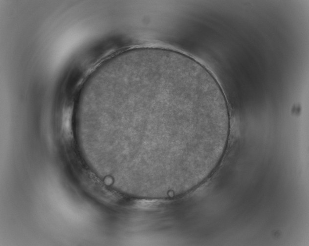 X0000111641150200908071336