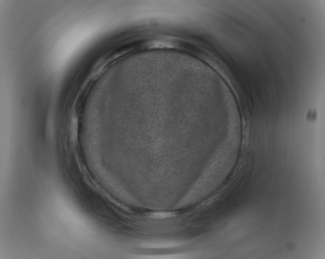 X0000111641151200908071336