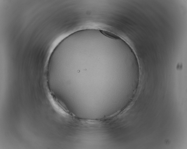 X0000111641152200908071336