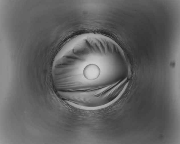 X0000111641153200908071335