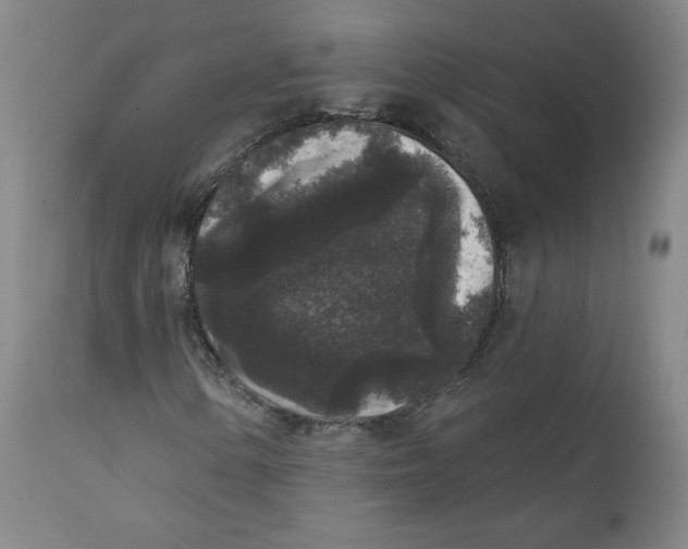 X0000111641154200908071335