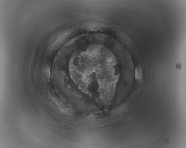 X0000111641155200908071335