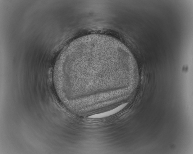 X0000111641156200908071335