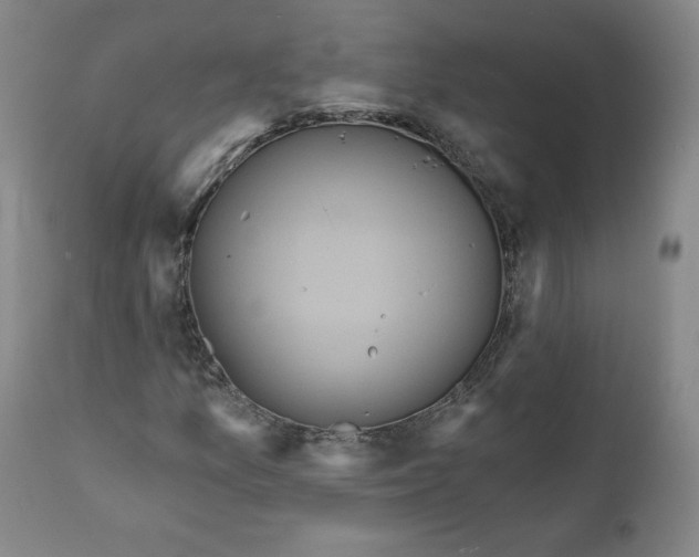 X0000111641157200908071335