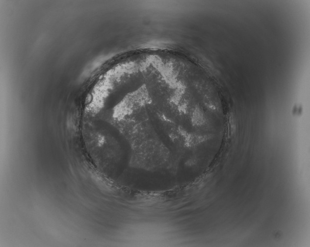 X0000111641158200908071335