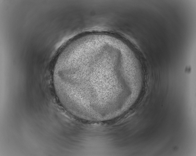 X0000111641160200908071335