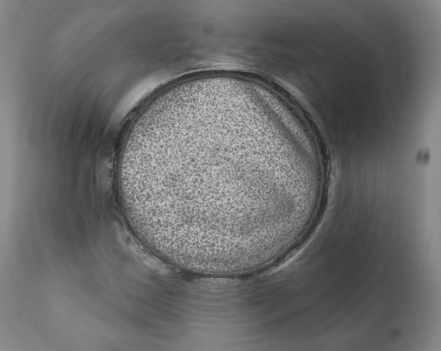 X0000111641163200908071335