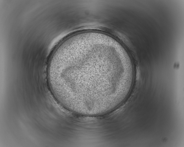 X0000111641164200908071335