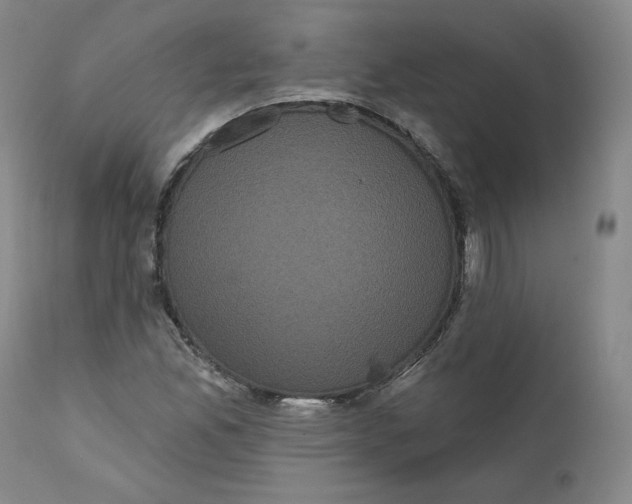 X0000111641165200908071335