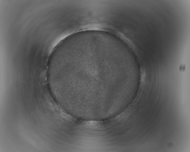 X0000111641166200908071335