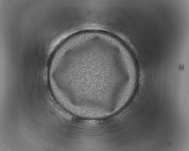 X0000111641167200908071335