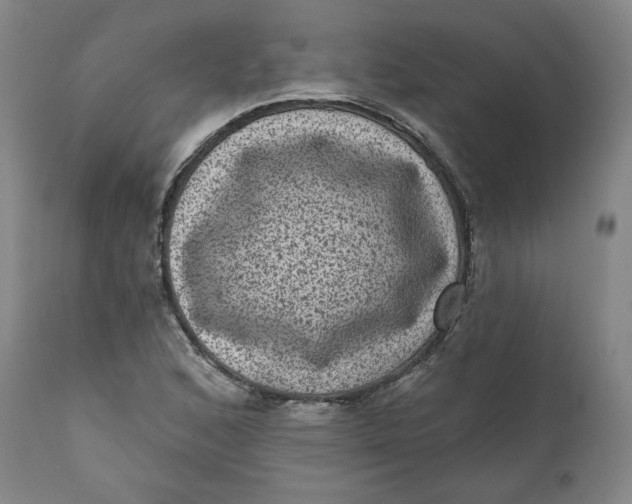 X0000111641168200908071335