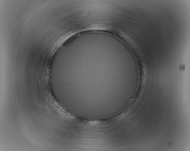 X0000111641169200908071335