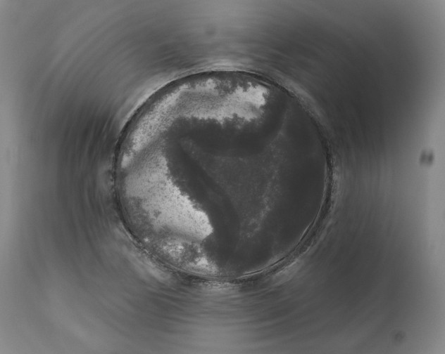 X0000111641170200908071335