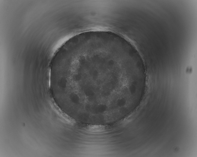 X0000111641171200908071335