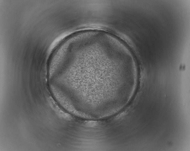 X0000111641172200908071335