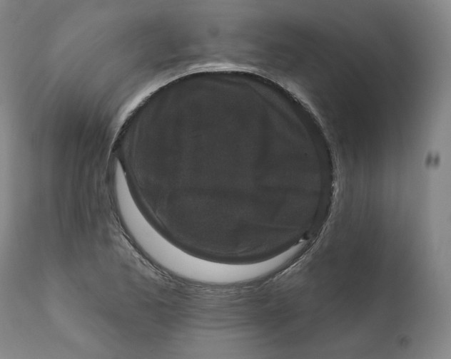 X0000111641173200908071335