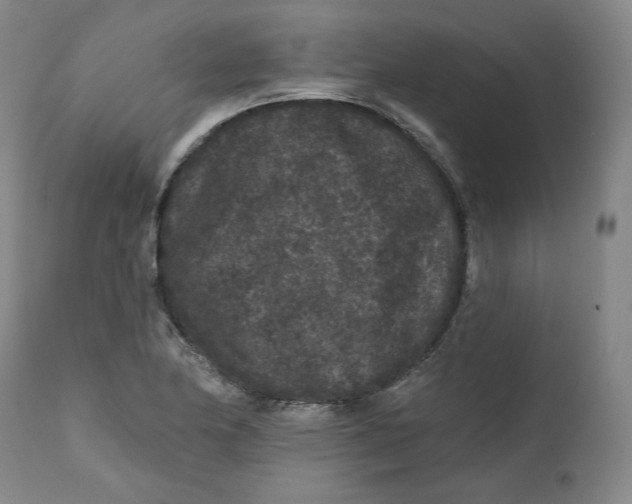 X0000111641174200908071335